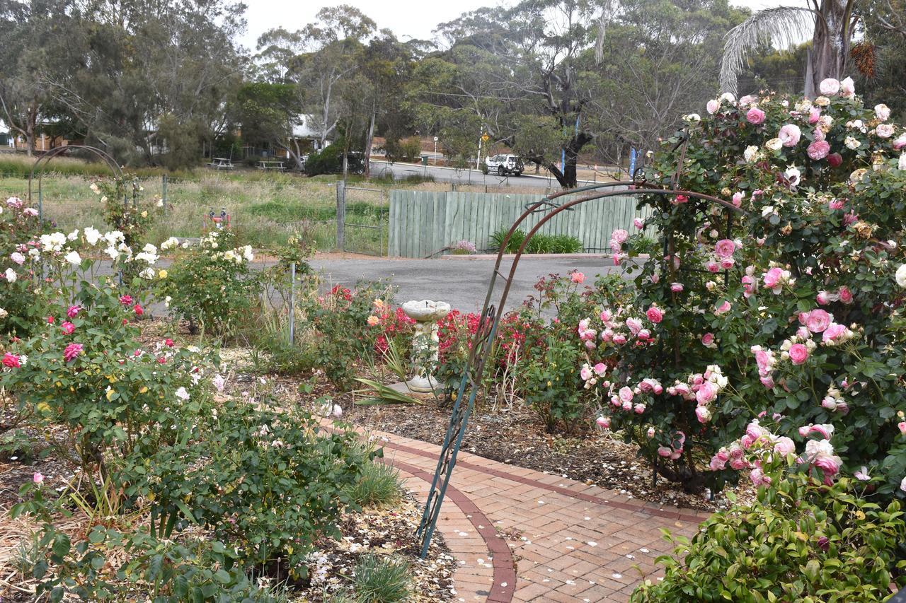 Mount Barker Valley Views Motel & Chalets, Western Australia Bagian luar foto