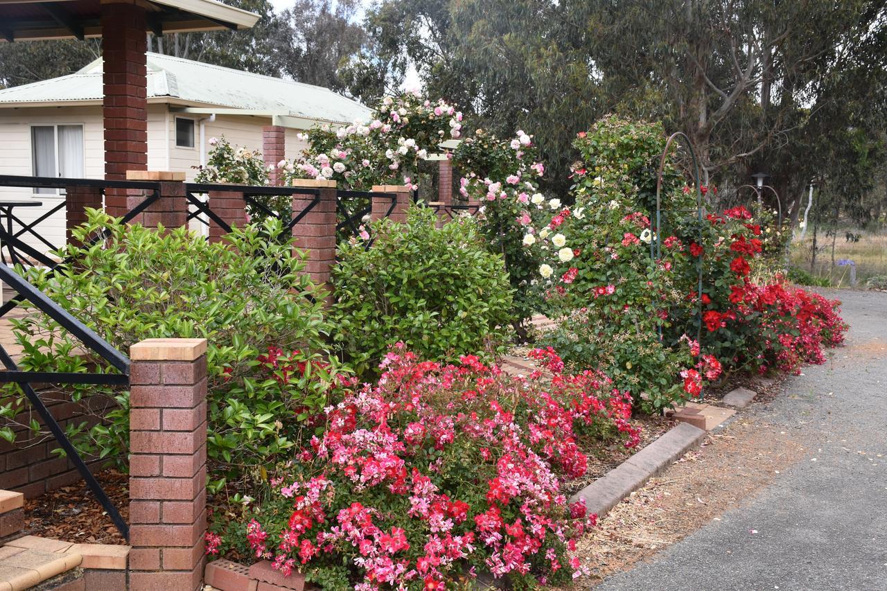 Mount Barker Valley Views Motel & Chalets, Western Australia Bagian luar foto
