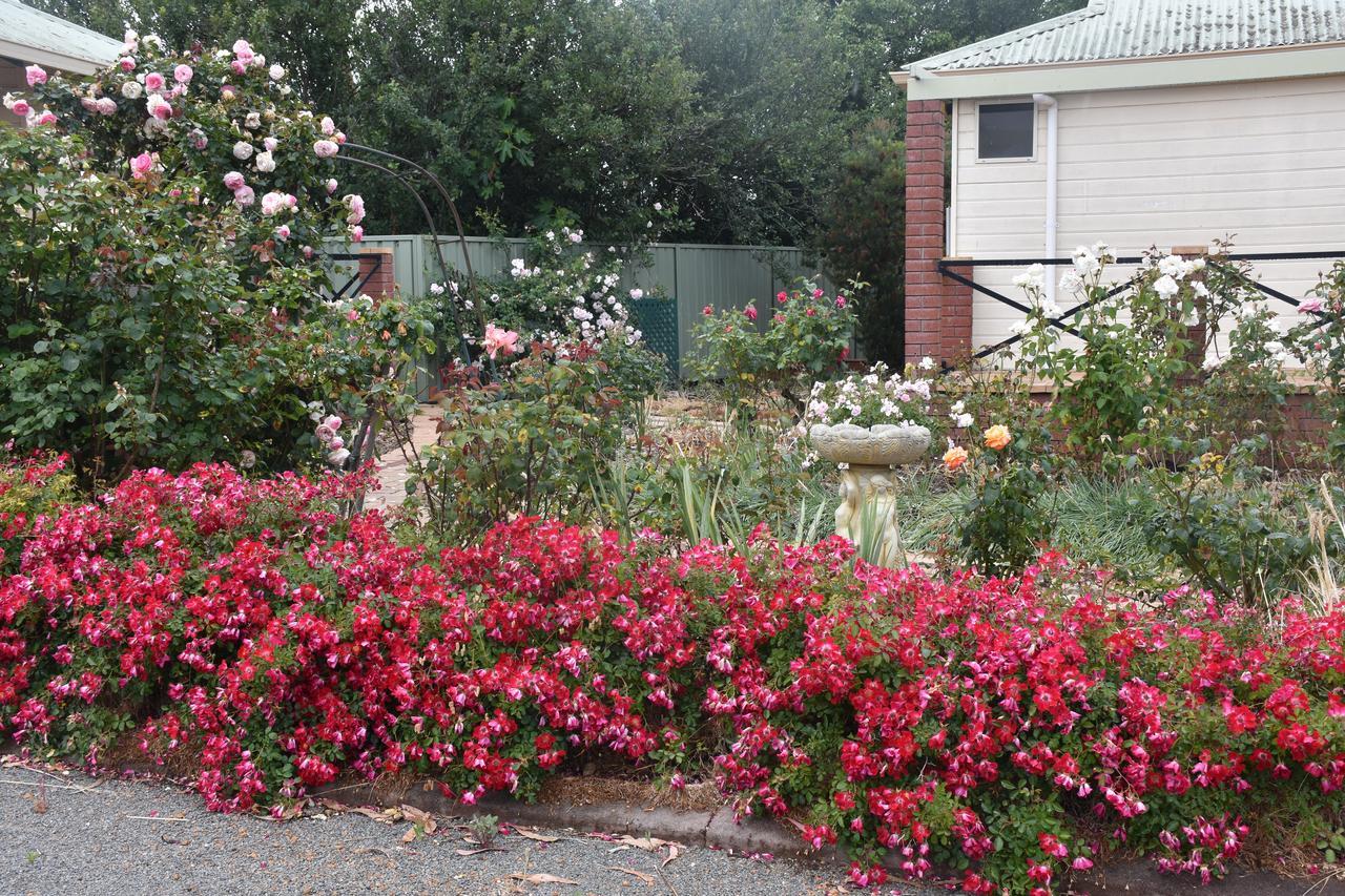 Mount Barker Valley Views Motel & Chalets, Western Australia Bagian luar foto